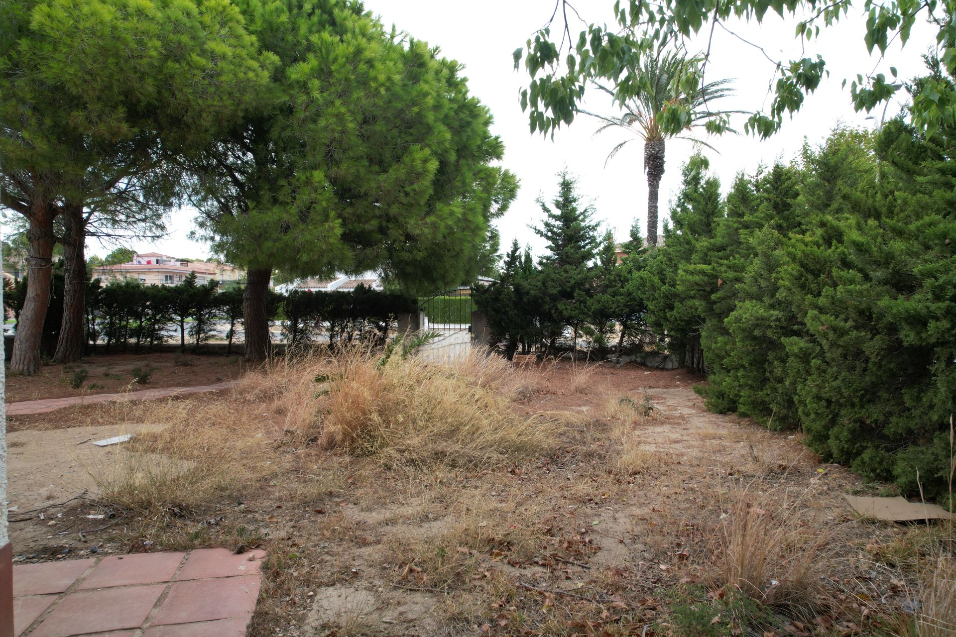 ++ Oportunidad Única en Pino Alto (Miami Platja) ++ - Image 10